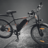 L1-EV Rider Max - Image 3